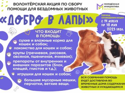 Приглашаем принять участие в благотворительной акции «Добро в лапы»