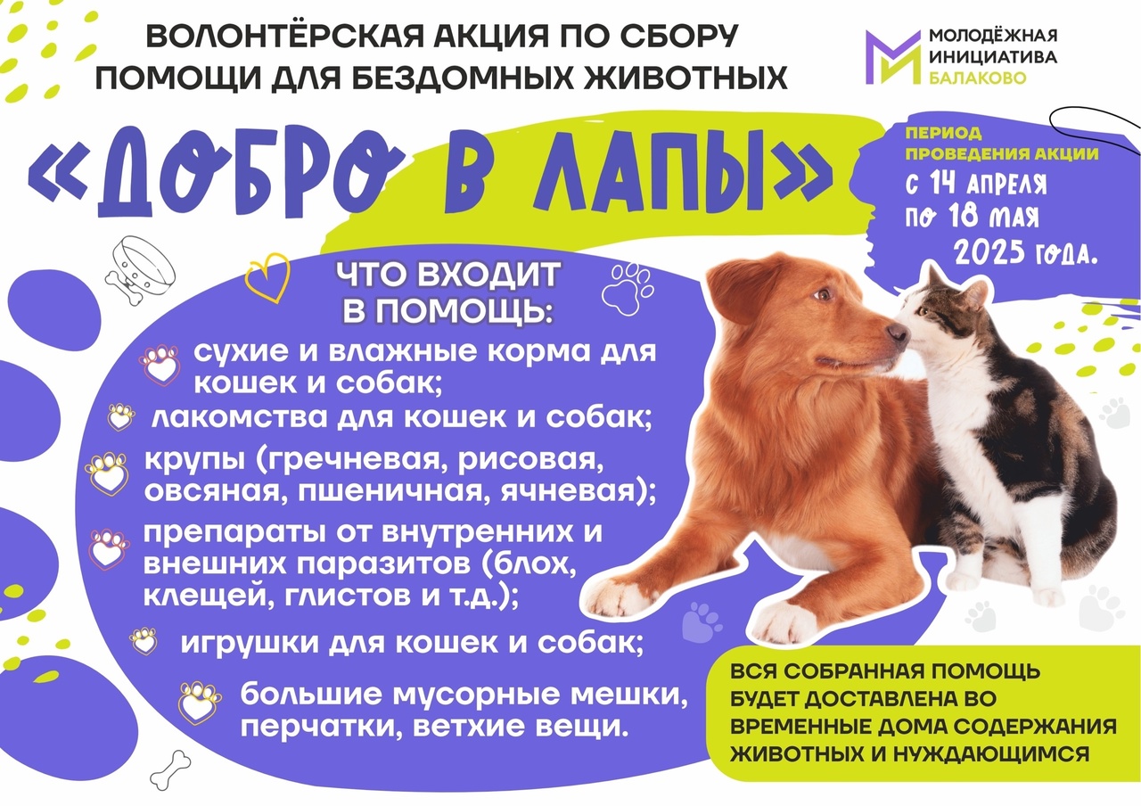 Приглашаем принять участие в благотворительной акции «Добро в лапы»